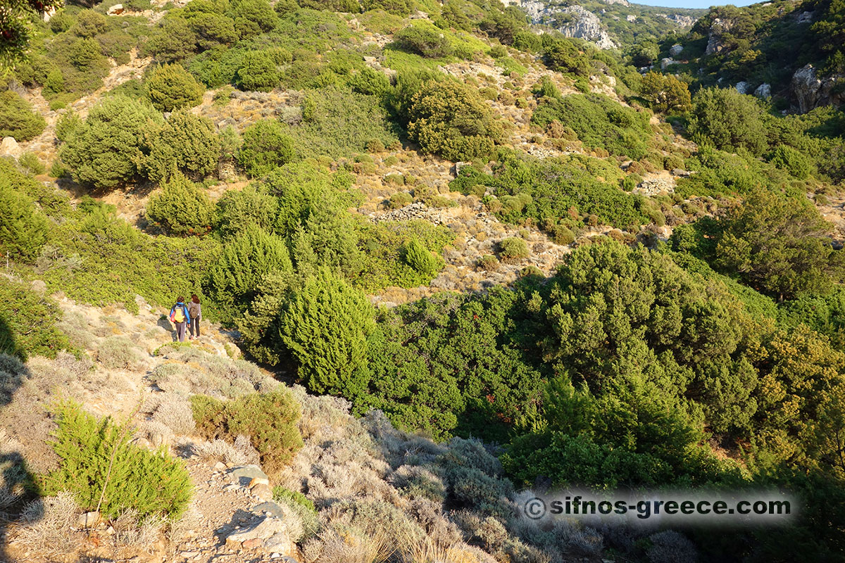 A piedi nella zona di Natura di Sifnos